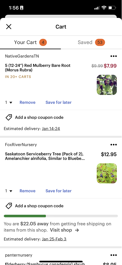 Cart — before